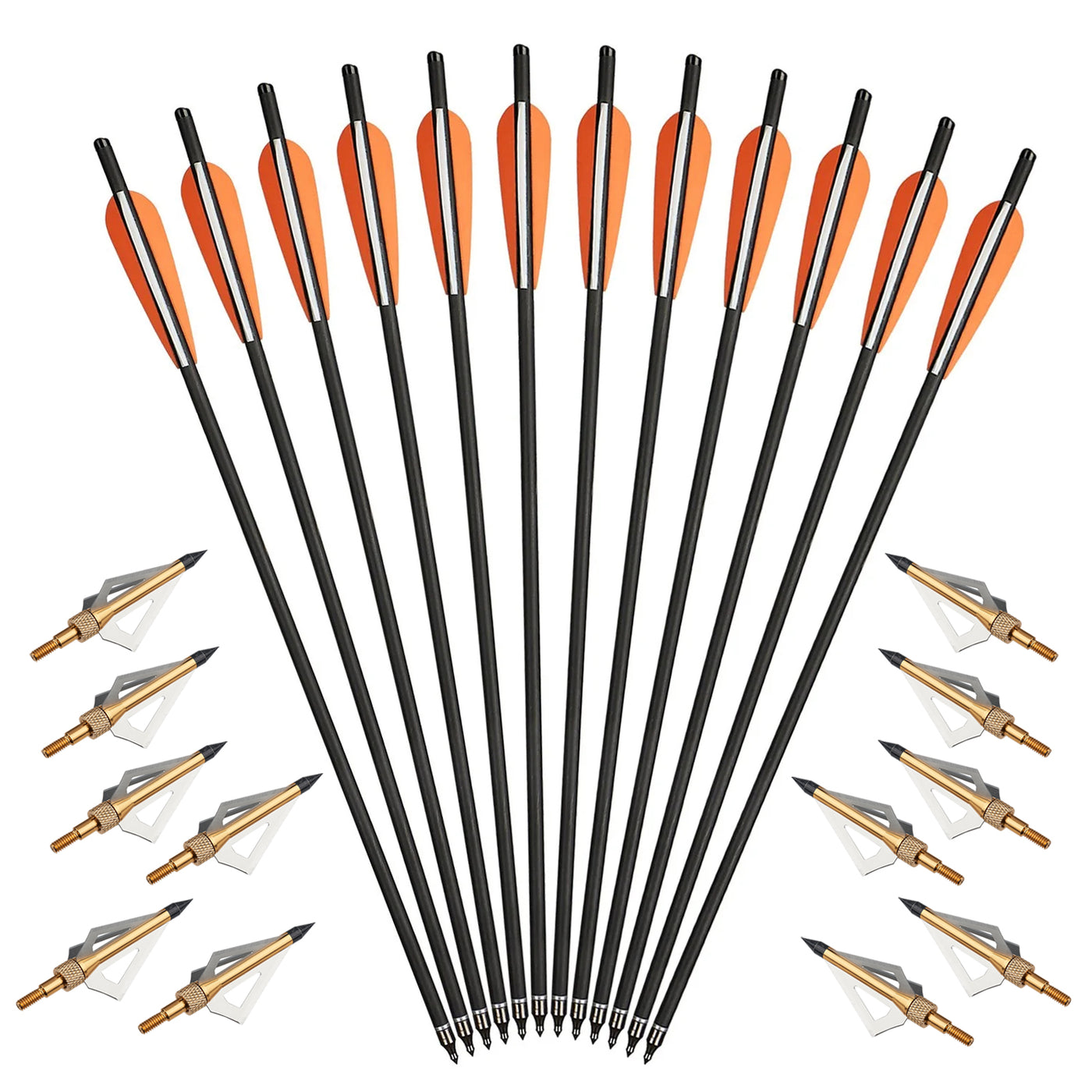 12x 20 22 Inch Archery Carbon Crossbow Bolts Arrows and 12x Broadheads Set 4" Vane Replaced Arrowhead for Hunting Outdoor Practice