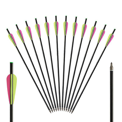 12x 20" OD 8mm ID 6mm Fiberglass Crossbow Archery Arrows 3" Parabolic Vanes