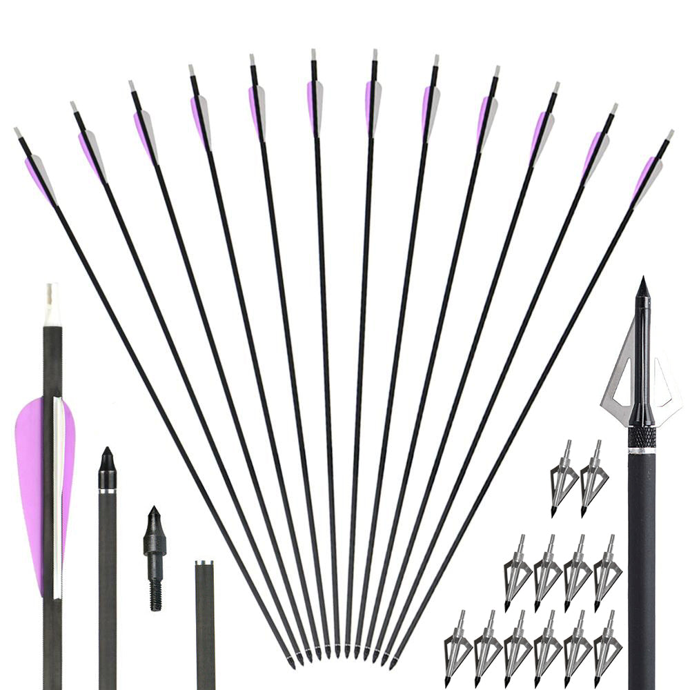 12x 31" Mixed Carbon Arrows and 12x 125-grain Screw-in Silver Broadheads