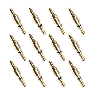 12x 100-grain Golden Screw-in Arrowheads