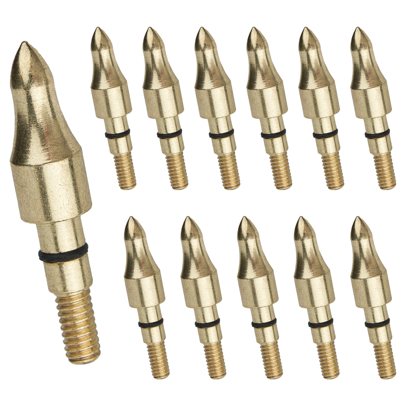 12x 100-grain Golden Screw-in Arrowheads