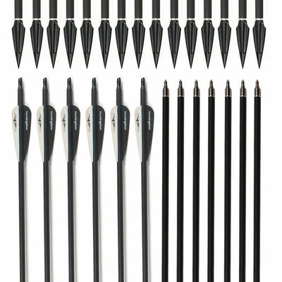 12x Archery 31" Carbon Arrows Practice & 12x Hunting Blood-Slot Tapered Arrowheads for Recurve Compound Bow