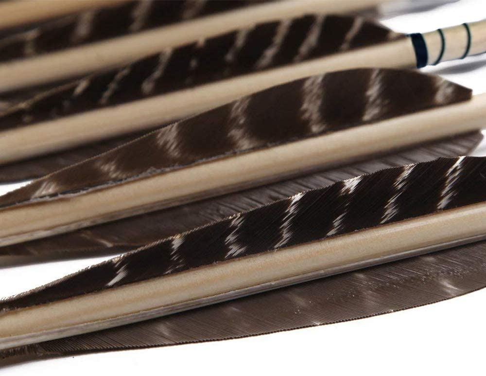 TTFLY FLETCHING 12PK 32 inch Traditional Wooden Arrows