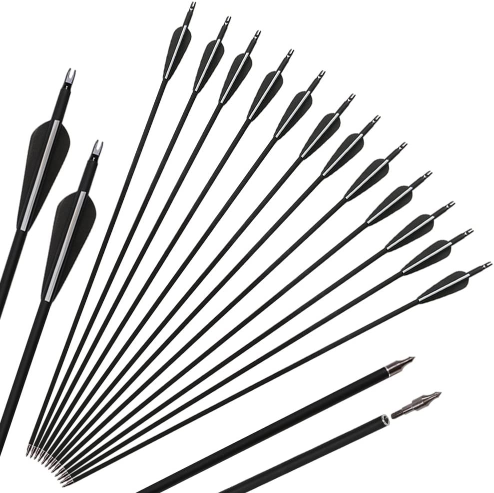 Archery 32" Carbon Arrows with Arrows Quiver for Compound & Recurve Bow Practice