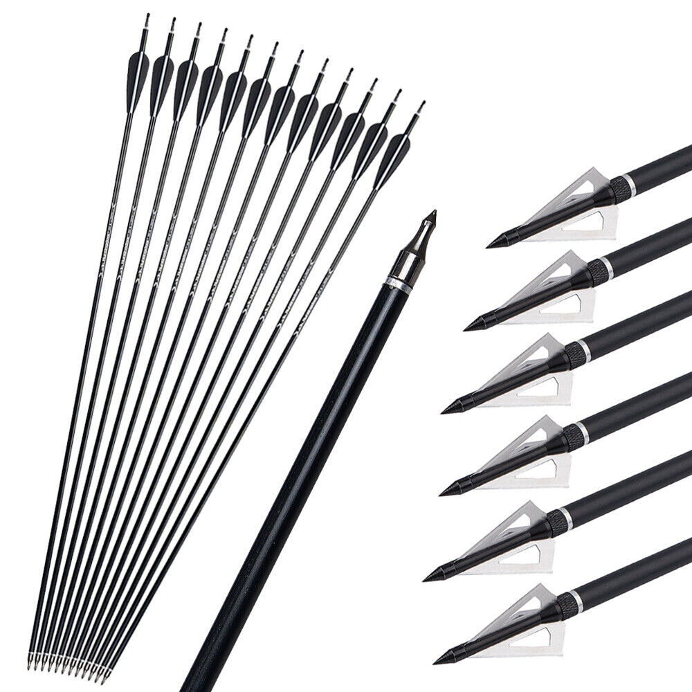 12x 31.5" Archery Aluminum Arrows 6x Hunting Broadheads for Compound Recurve Bow Arrows