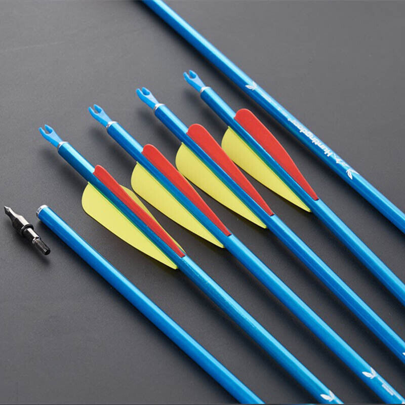 12x 31.5" Archery Aluminum Arrows 6x Hunting Broadheads for Compound Recurve Bow Arrows