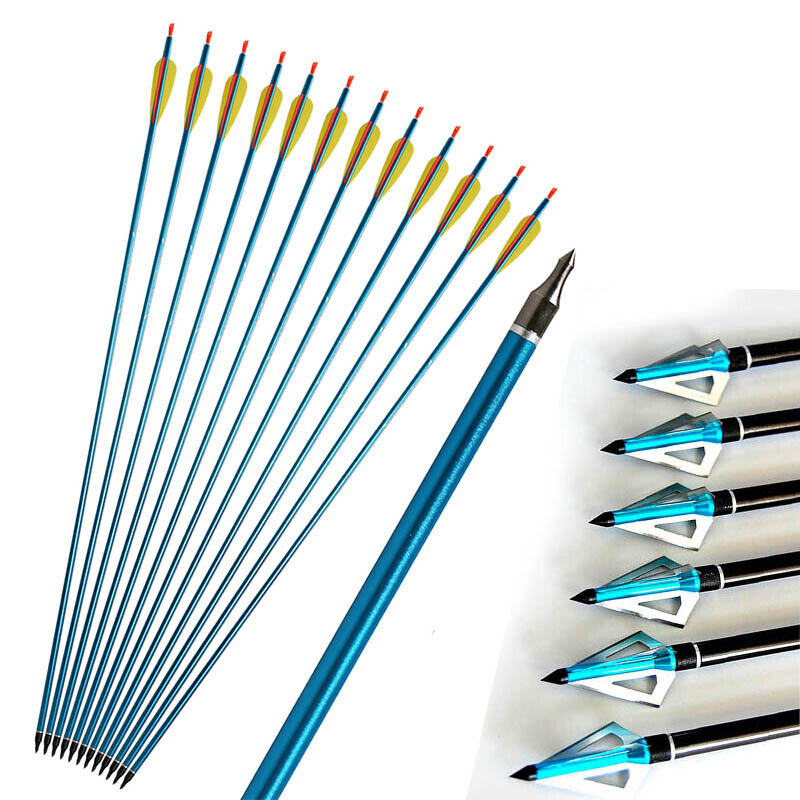12x 31.5" Archery Aluminum Arrows 6x Hunting Broadheads for Compound Recurve Bow Arrows