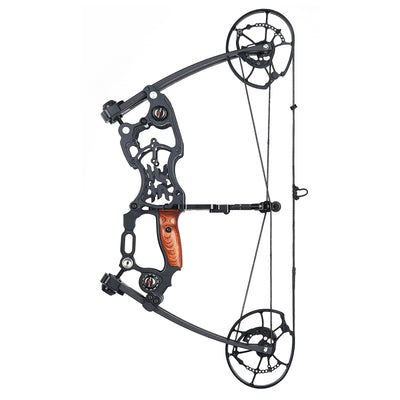 SF Compound Bow for Target Hunting Disassembled