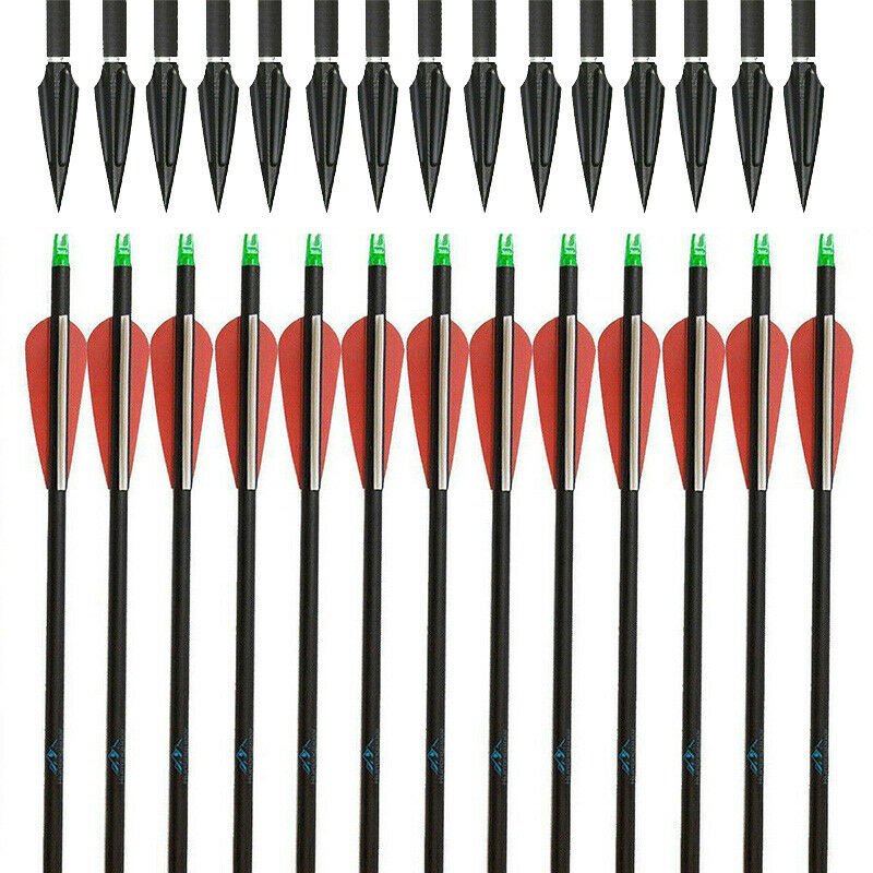 12x Archery 31" Carbon Arrows Practice & 12x Hunting Blood-Slot Tapered Arrowheads for Recurve Compound Bow