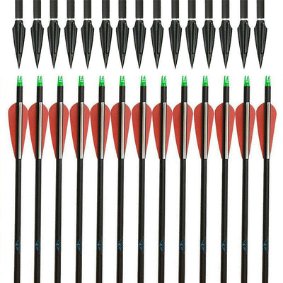 12x Archery 31" Carbon Arrows Practice & 12x Hunting Blood-Slot Tapered Arrowheads for Recurve Compound Bow