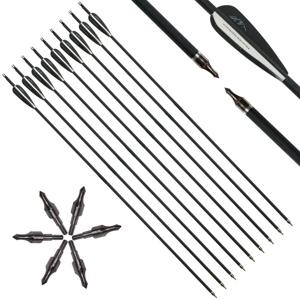 12x 31.5" Archery Carbon Arrows & Quiver for Compound Recurve Bow Target