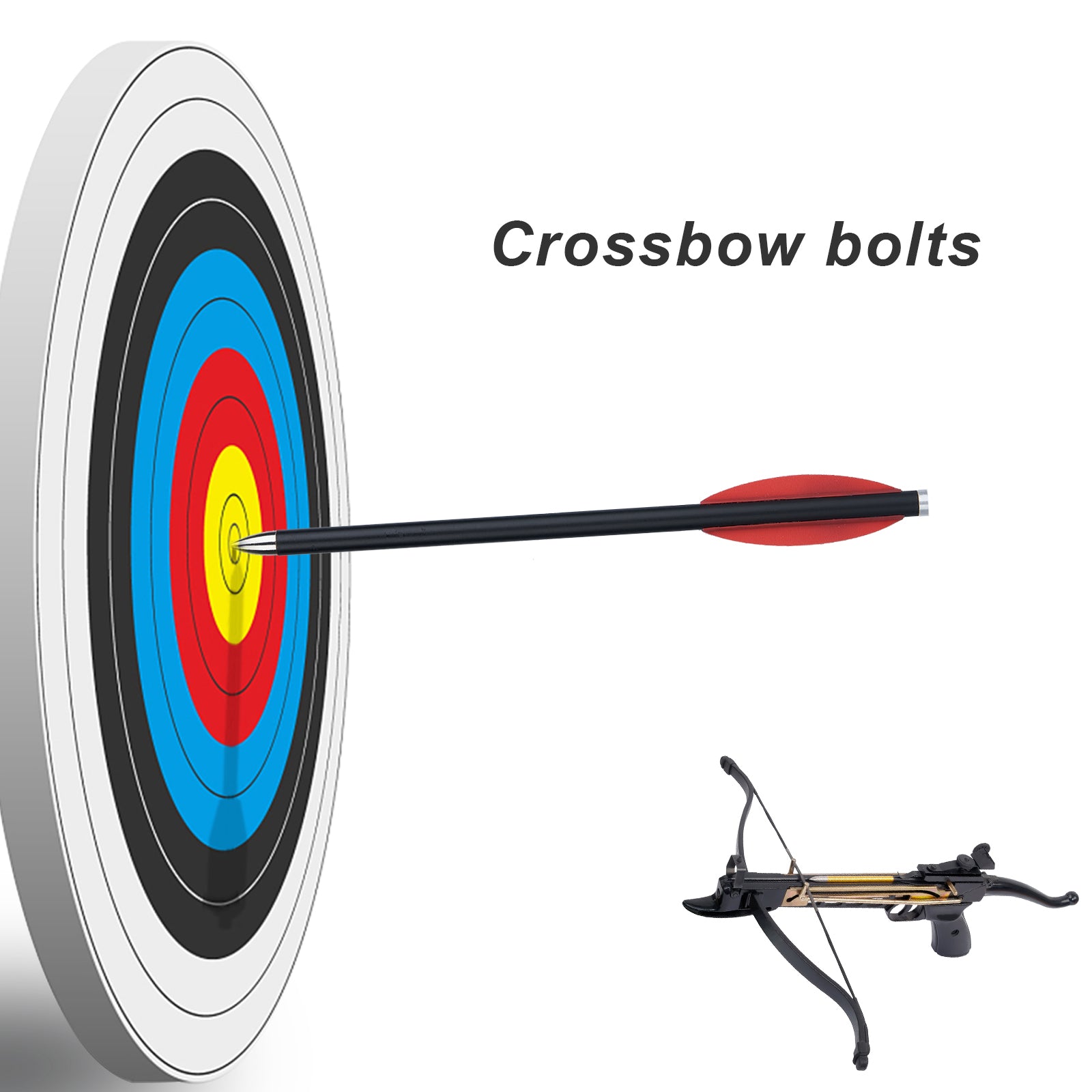 thumbnail image 2 of 12Pcs 20'' Hunting Crossbow Bolts Archery Carbon Arrows / Broadheads Arrow Tips 2 of 14