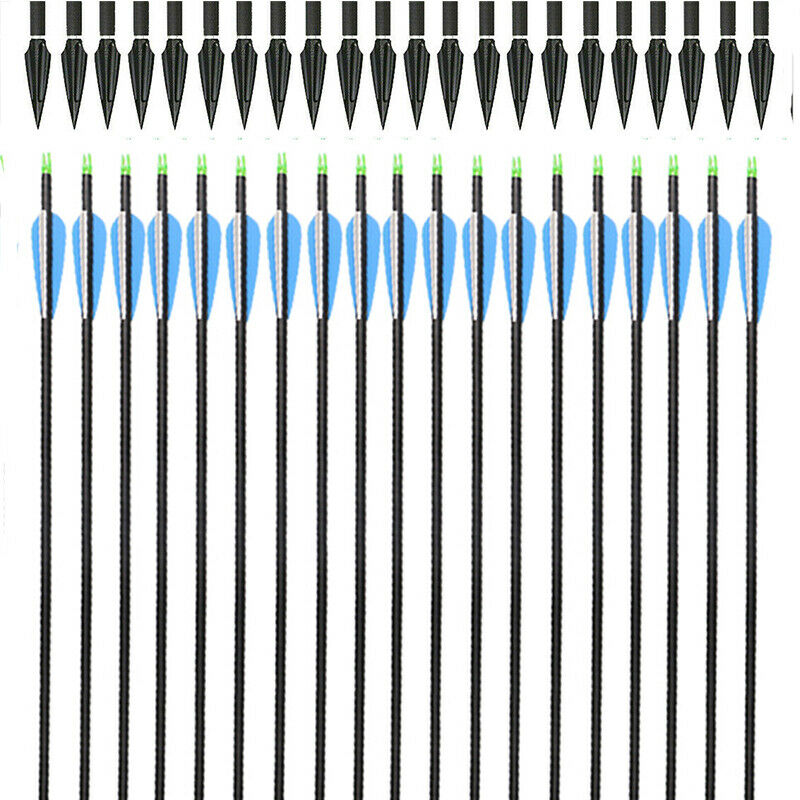 12x Archery 31" Carbon Arrows Practice & 12x Hunting Blood-Slot Tapered Arrowheads for Recurve Compound Bow