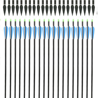 12x Archery 31" Carbon Arrows Practice & 12x Hunting Blood-Slot Tapered Arrowheads for Recurve Compound Bow