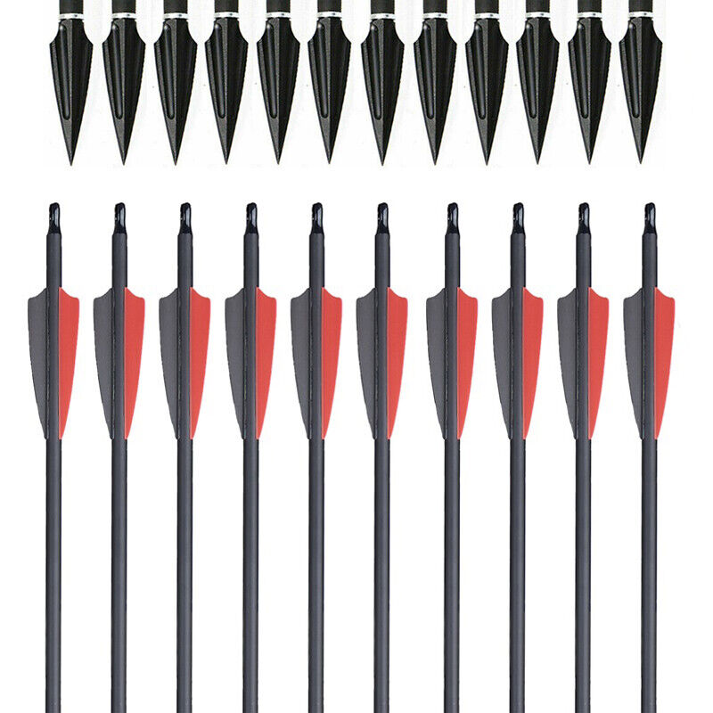 12x Archery 31" Carbon Arrows Practice & 12x Hunting Blood-Slot Tapered Arrowheads for Recurve Compound Bow