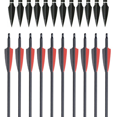 12x Archery 31" Carbon Arrows Practice & 12x Hunting Blood-Slot Tapered Arrowheads for Recurve Compound Bow