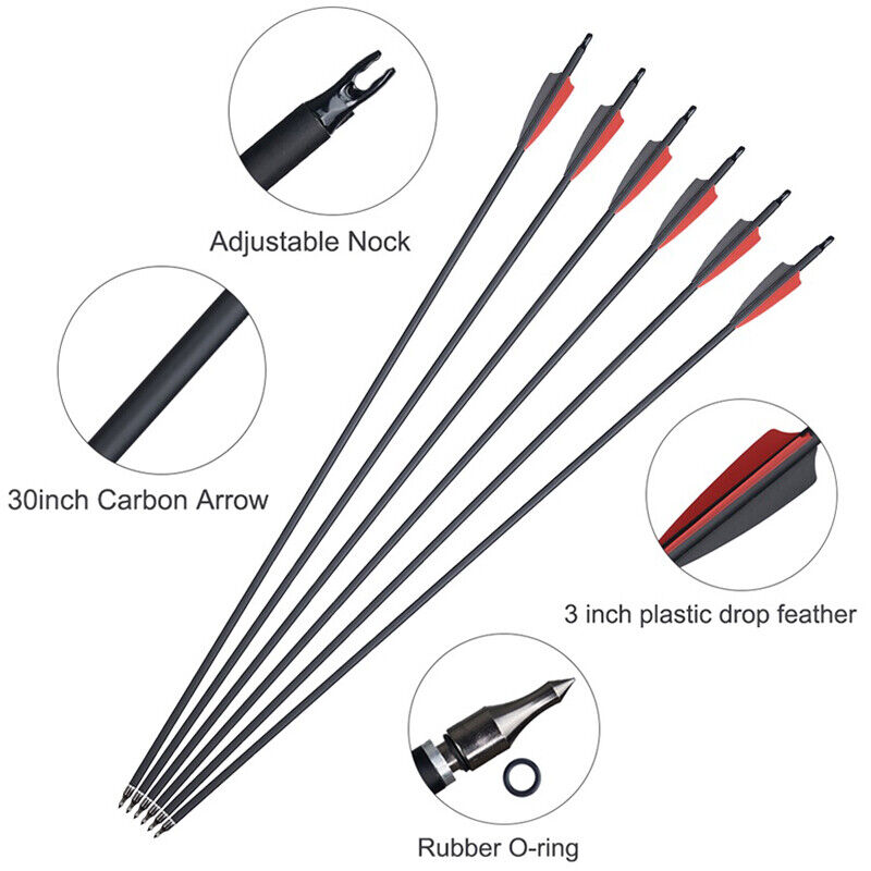 12x Archery 31" Carbon Arrows Practice & 12x Hunting Blood-Slot Tapered Arrowheads for Recurve Compound Bow