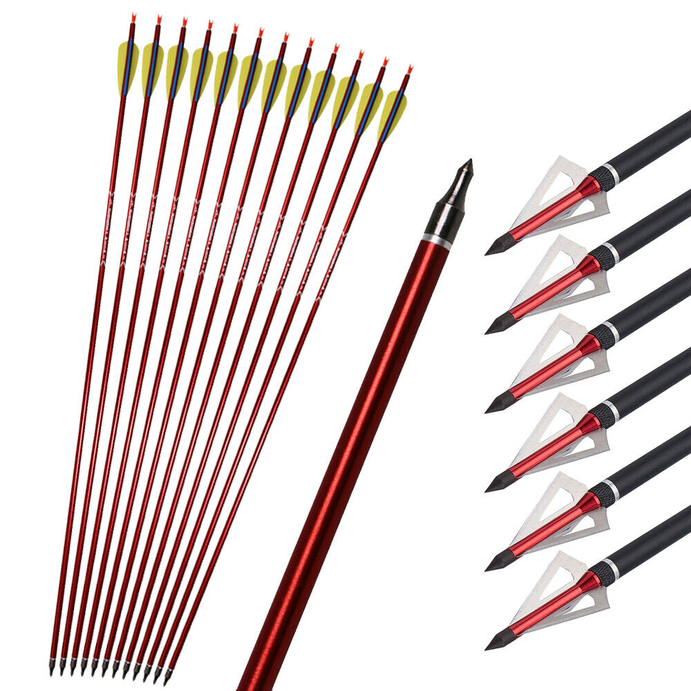 12x 31.5" Archery Aluminum Arrows 6x Hunting Broadheads for Compound Recurve Bow Arrows