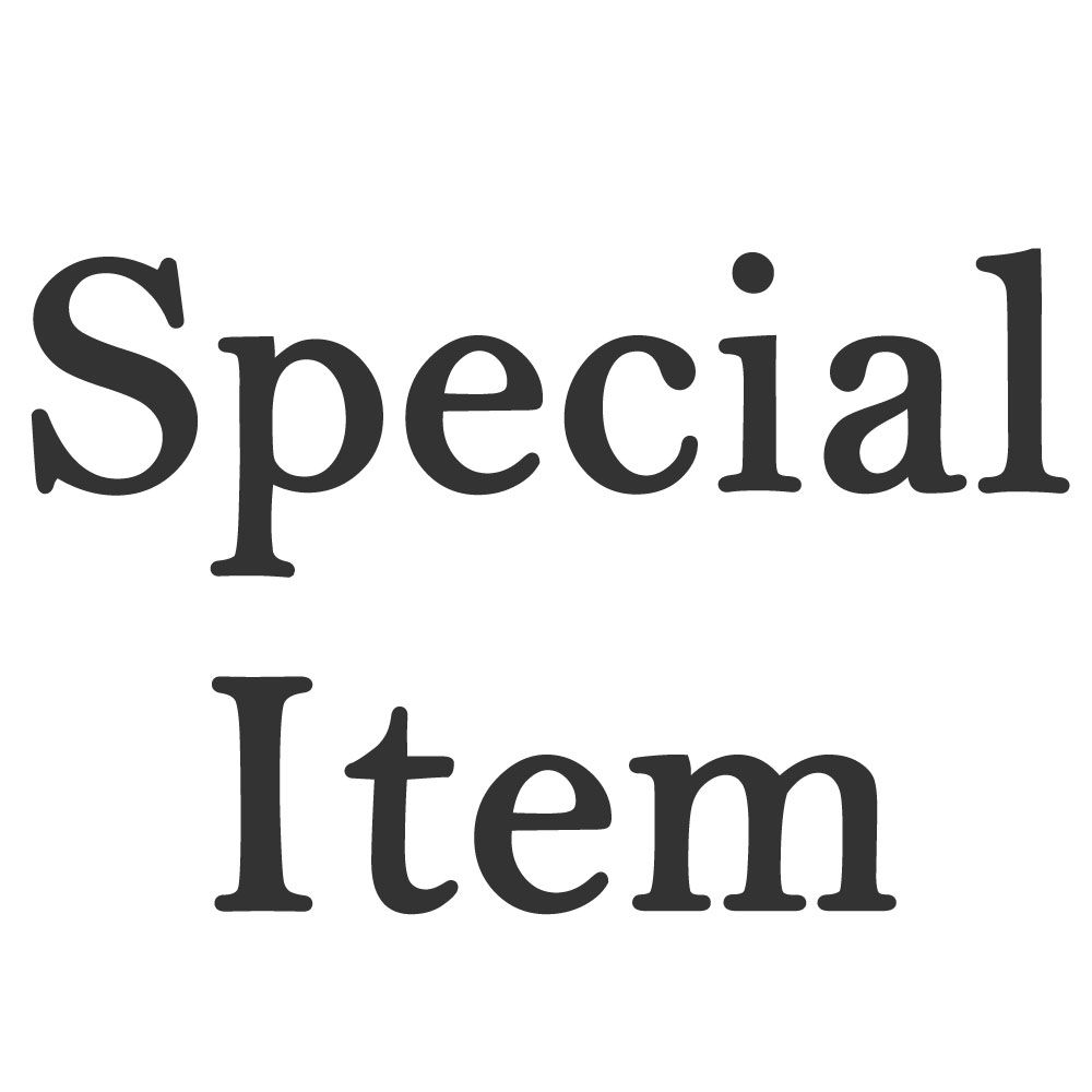 Special Item