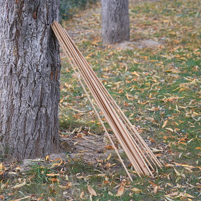 24x 32" Wooden Arrow Shafts Traditional Archery